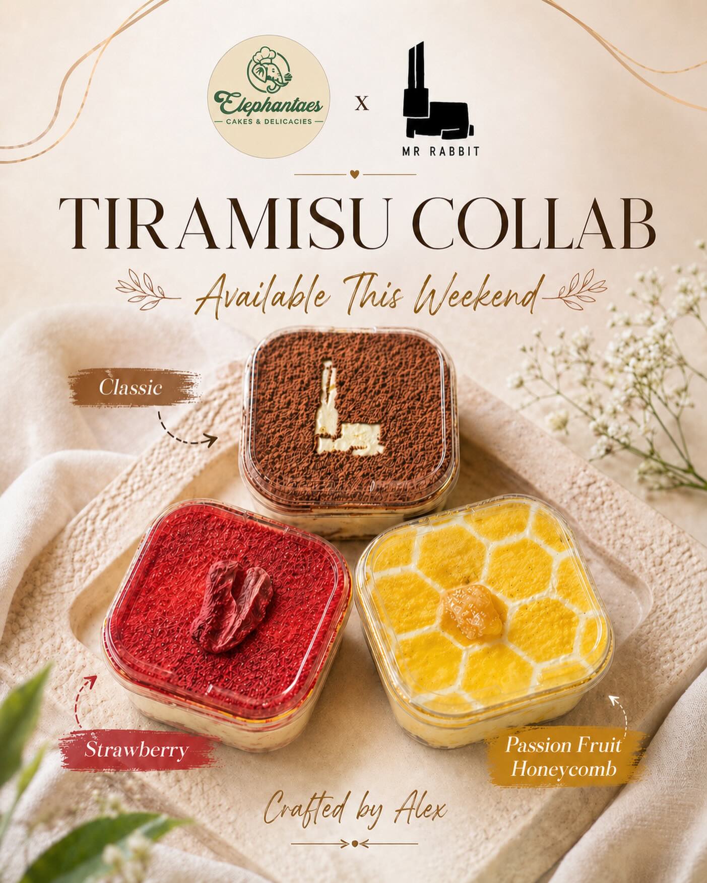 Elephantaes × Mr Rabbit Tiramisu Collab